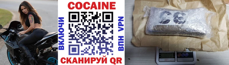 Купить закладки  Кирово-Чепецк  Cocaine Fish Scale 